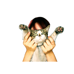 A Woman Playfully Holds Her Tabby Cat With Paws Up, Creating A Charming Pet Portrait. 13244 - Cat PNG image with transparent background